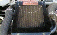 1pic3.gif